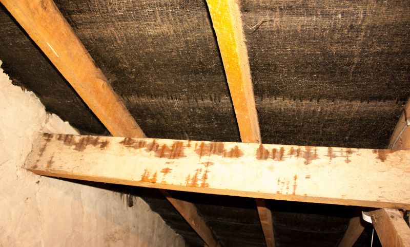Attic Water Damage Repair in Houston, TX