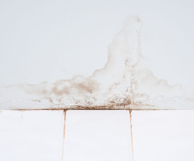 Water Damage Ceiling Repair in Santa Rosa, CA